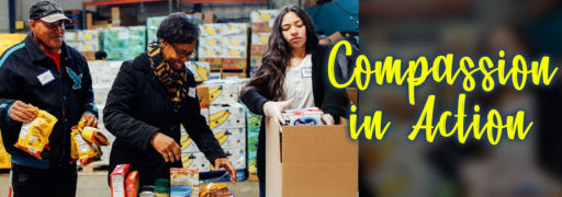 Compassion in Action